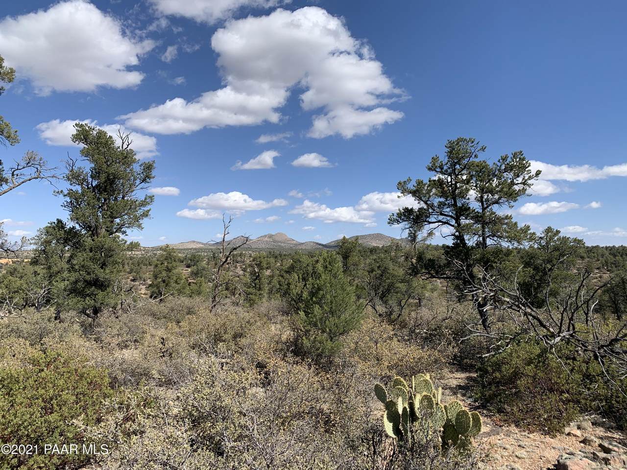 6001 Dillon Wash Parcel 153A Road - Photo 1