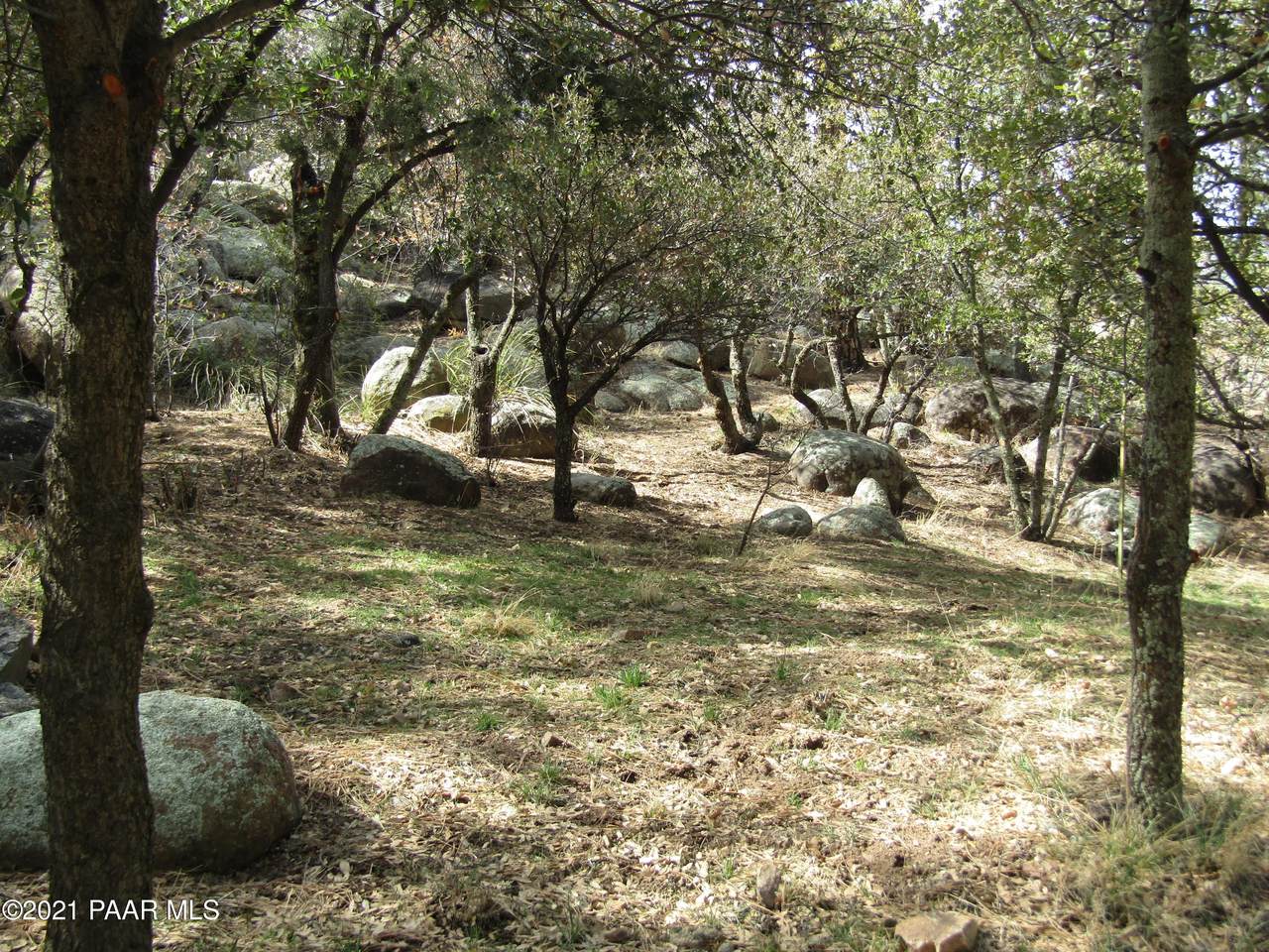 738 Pine Knoll Drive - Photo 1