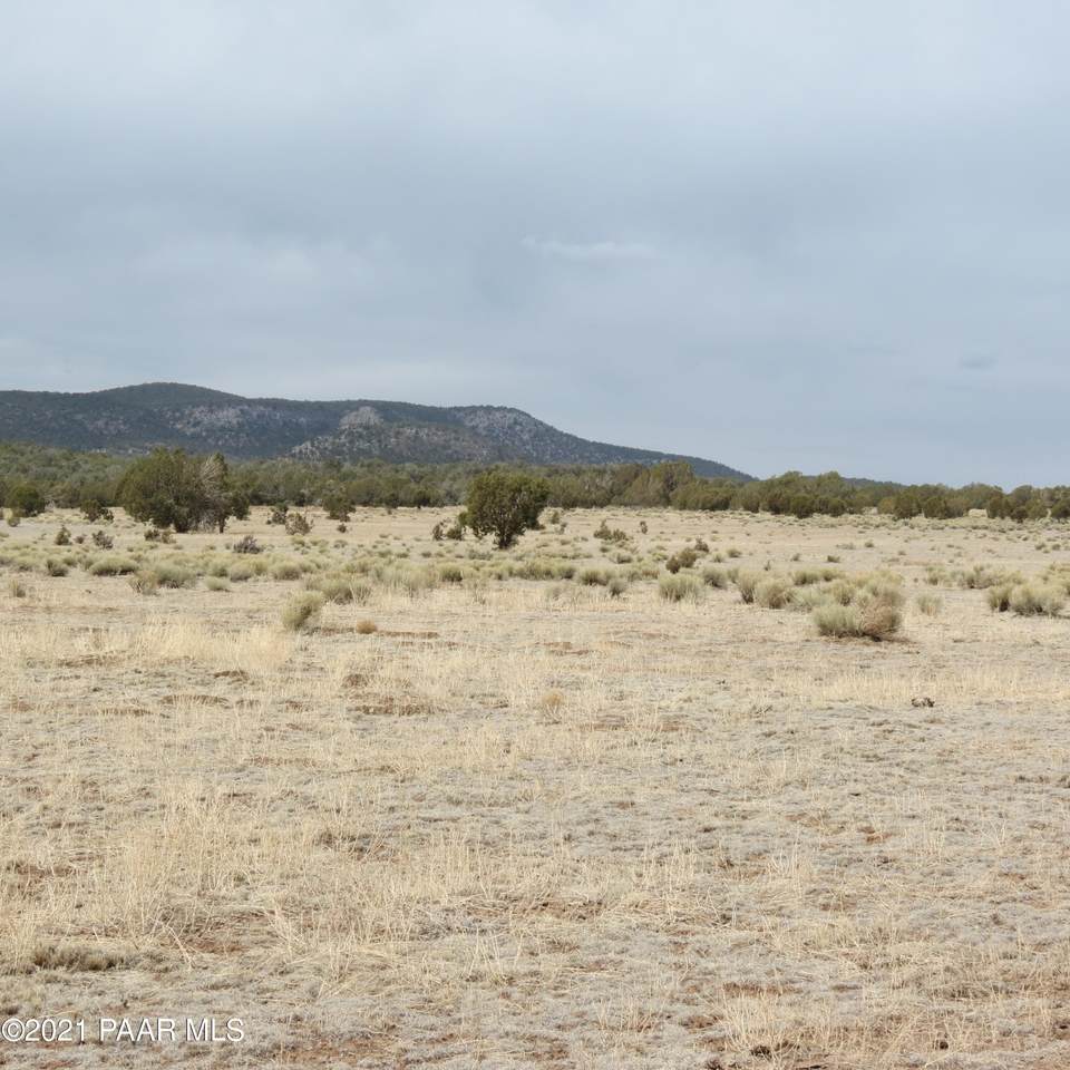 40575 Scout Trail - Photo 1