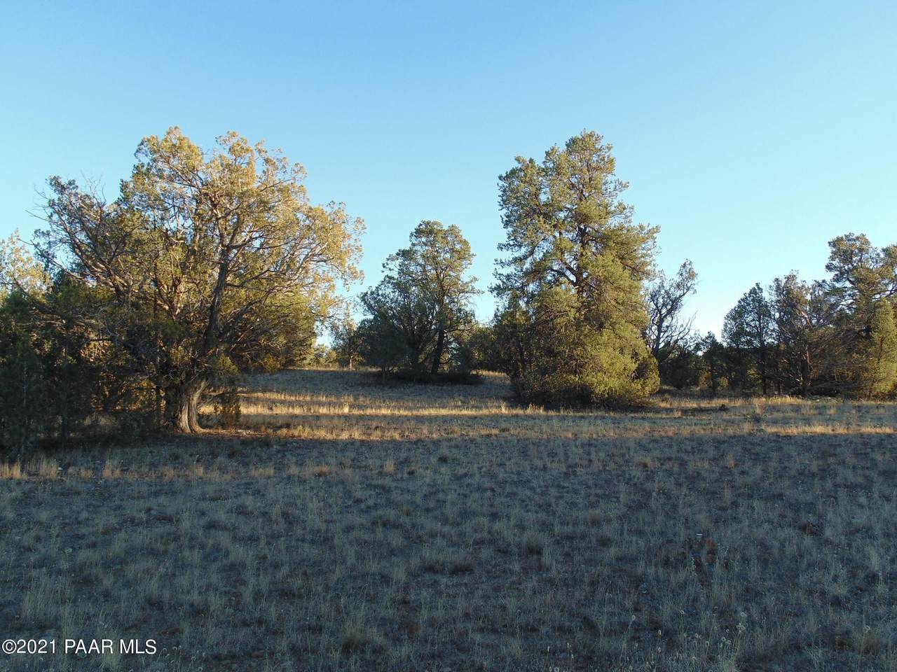 359 Sierra Verde Ranch - Photo 1