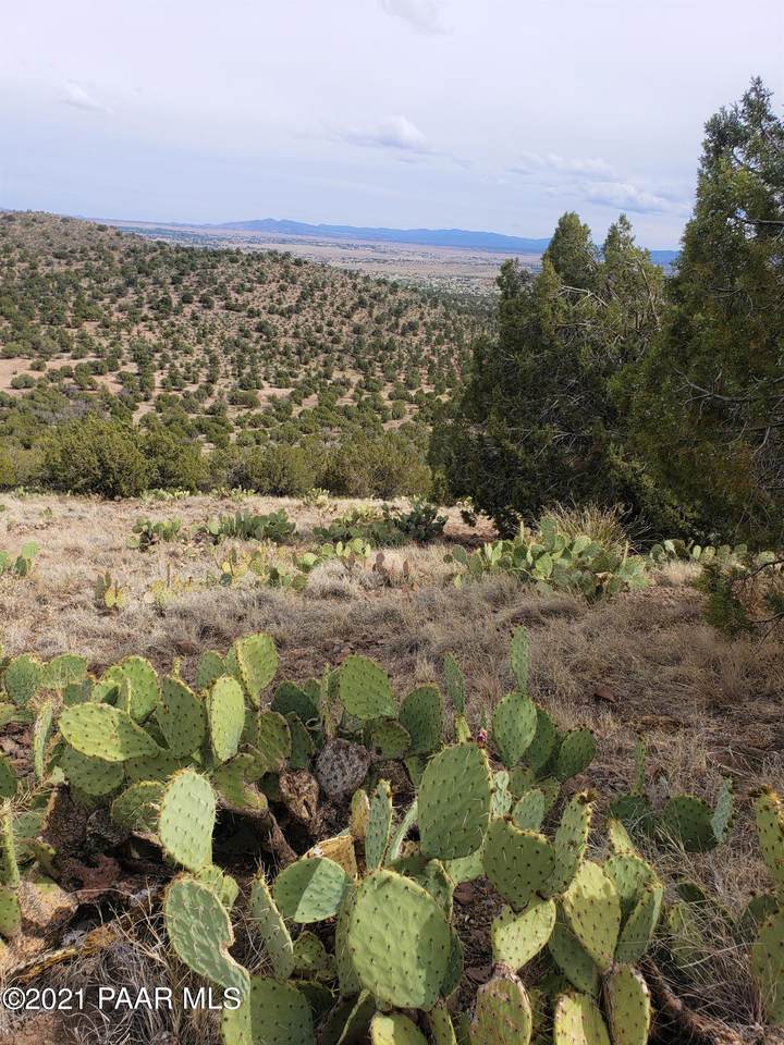 12a Off Service Road - Photo 1