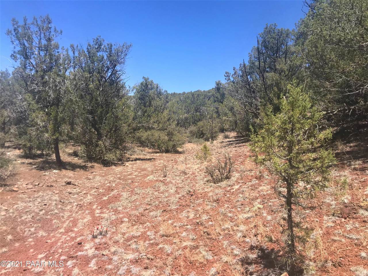 134 Off Of Pineveta - Photo 1