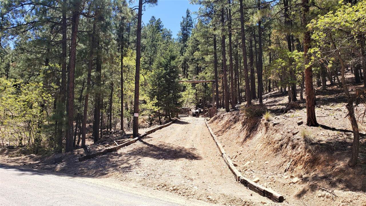 7xxx Snowdrift Mine Road - Photo 1