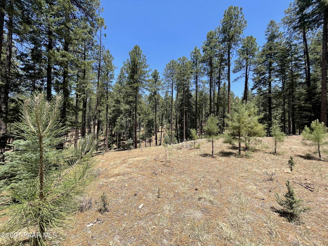 3400 Misty Mountain Loop - Photo 1