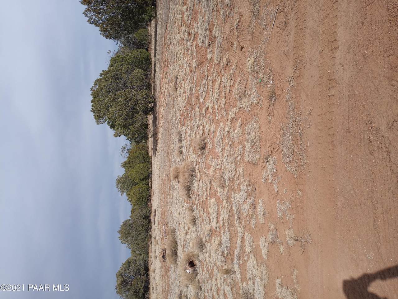 Lot 29 Golden Eagle Ranch - Photo 1