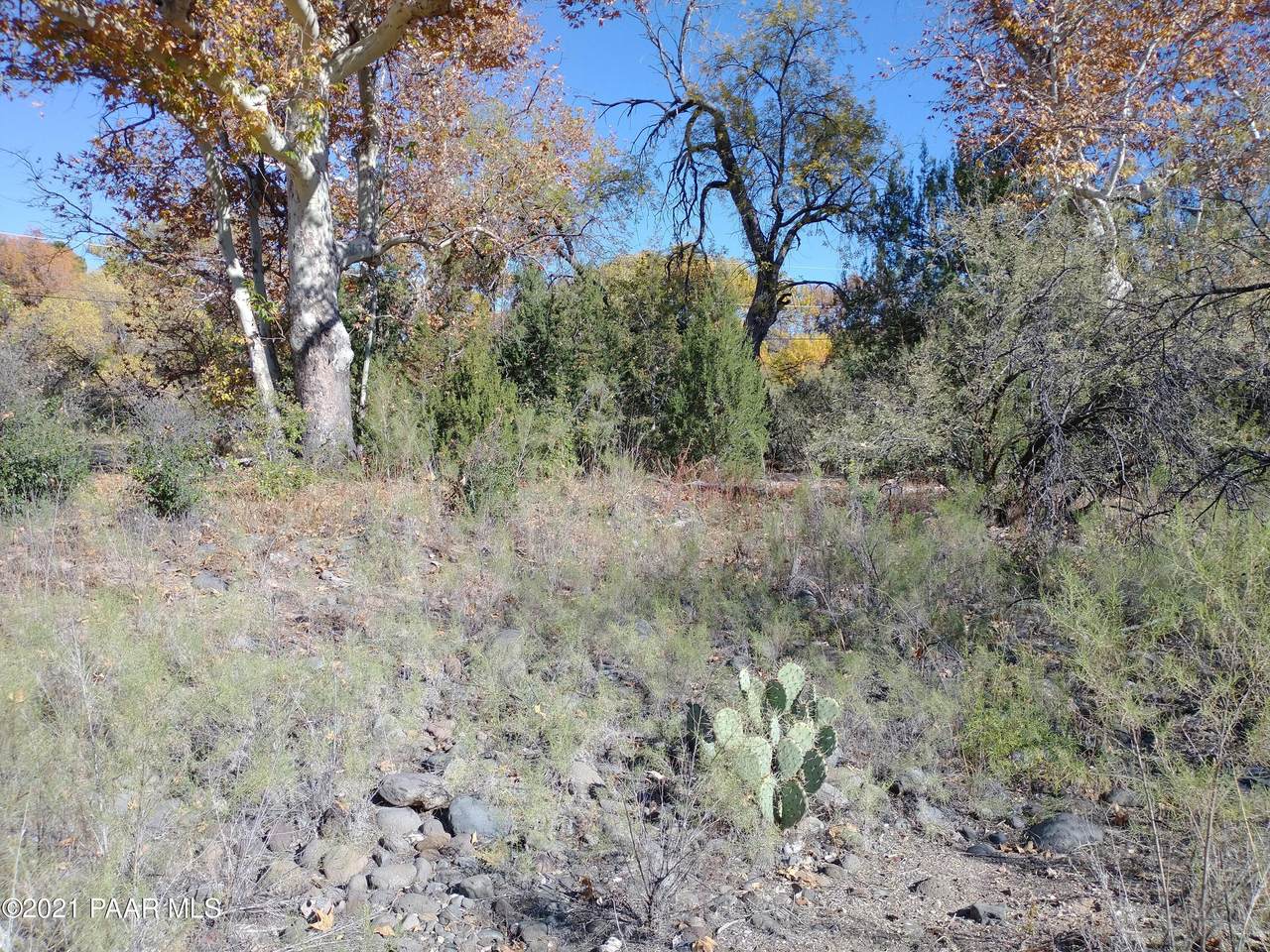 3810 Yucca Drive - Photo 1