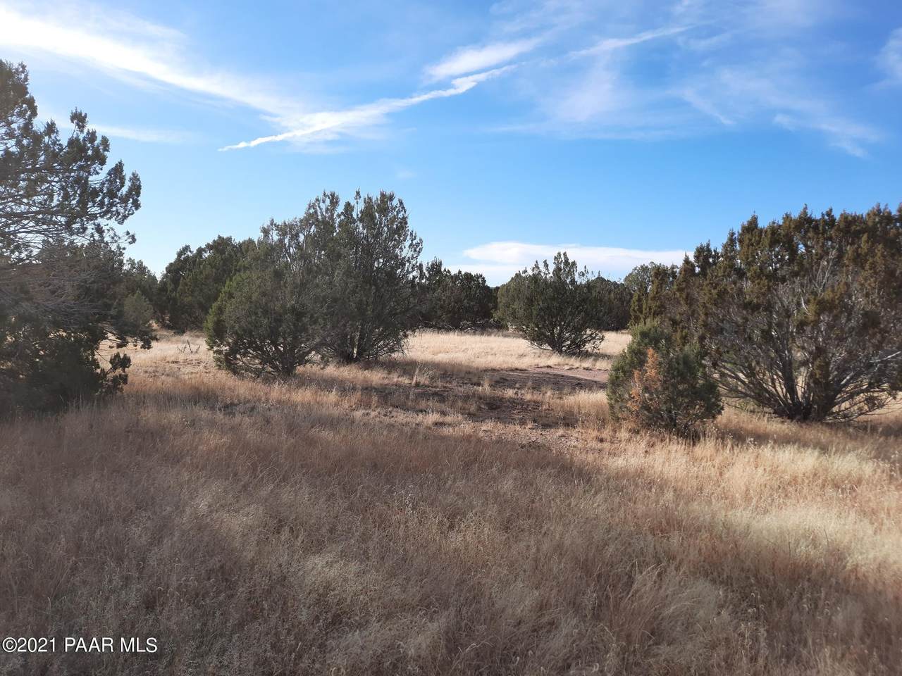 Lot 569 Gadsden Flag Way - Photo 1