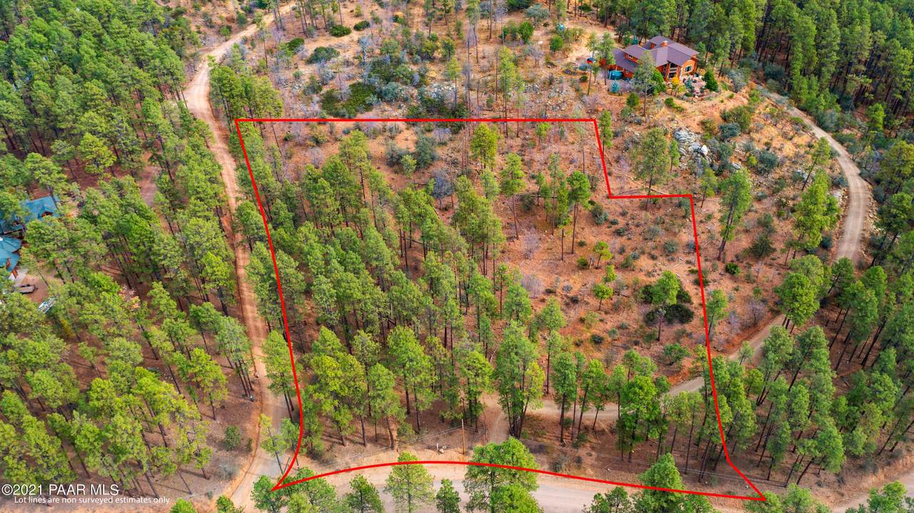 3190 Tree Tops Trail - Photo 1