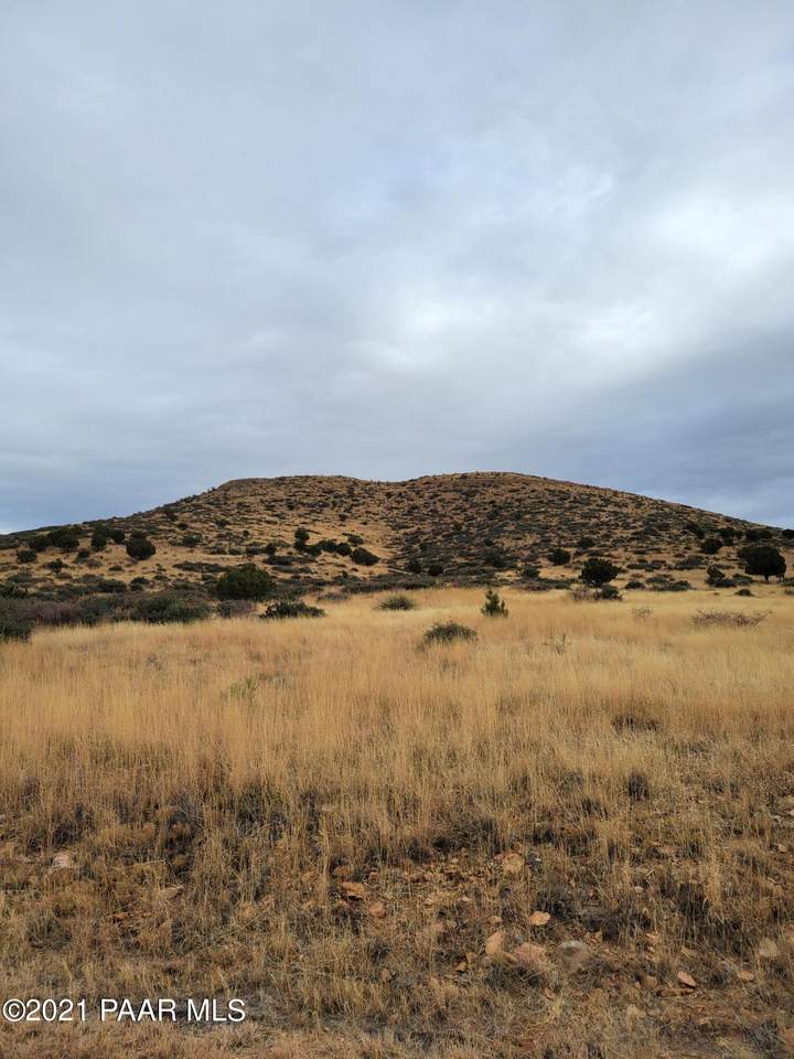 11325 Mingus Vista Drive - Photo 1