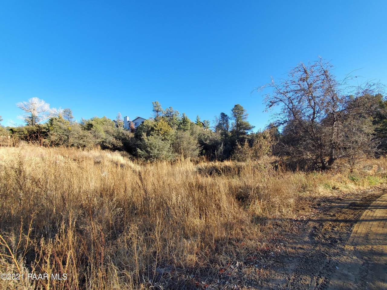1101 Rose Quartz Drive - Photo 1