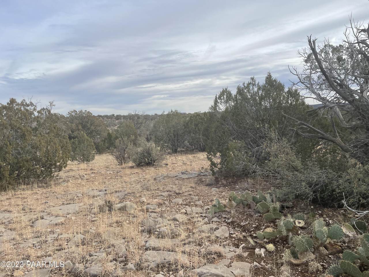 0 Greenview Ranches - Photo 1