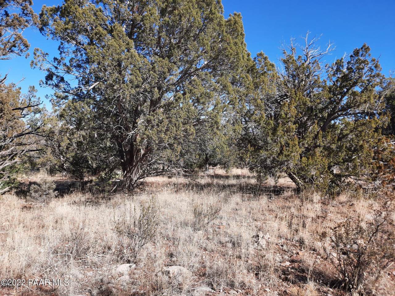 Lot 619b Sundance Way - Photo 1