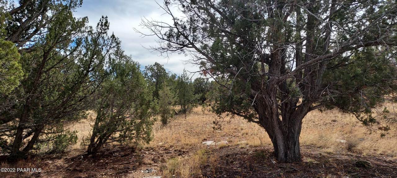 32369 Avenida Bailar Lot # 2972 - Photo 1