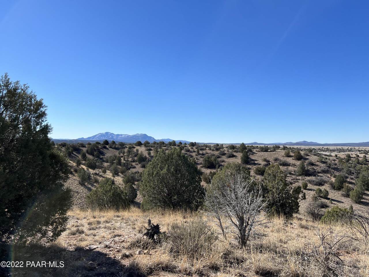 8351 Dillon Wash Road - Photo 1