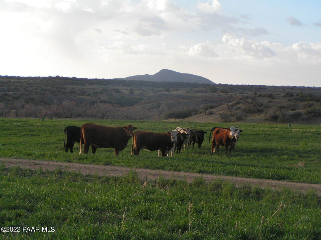 11925 A Bar V Ranch Road - Photo 1