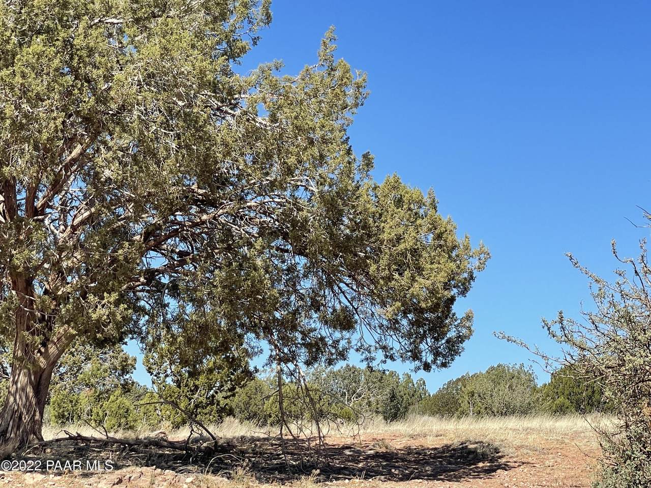 Lot 127 Denny 5 Road - Photo 1