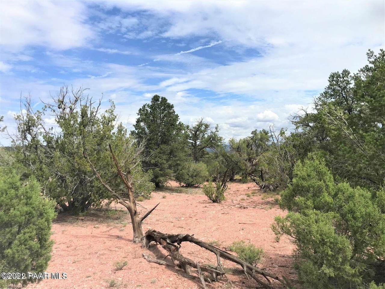 182 Cooks Trail - Photo 1