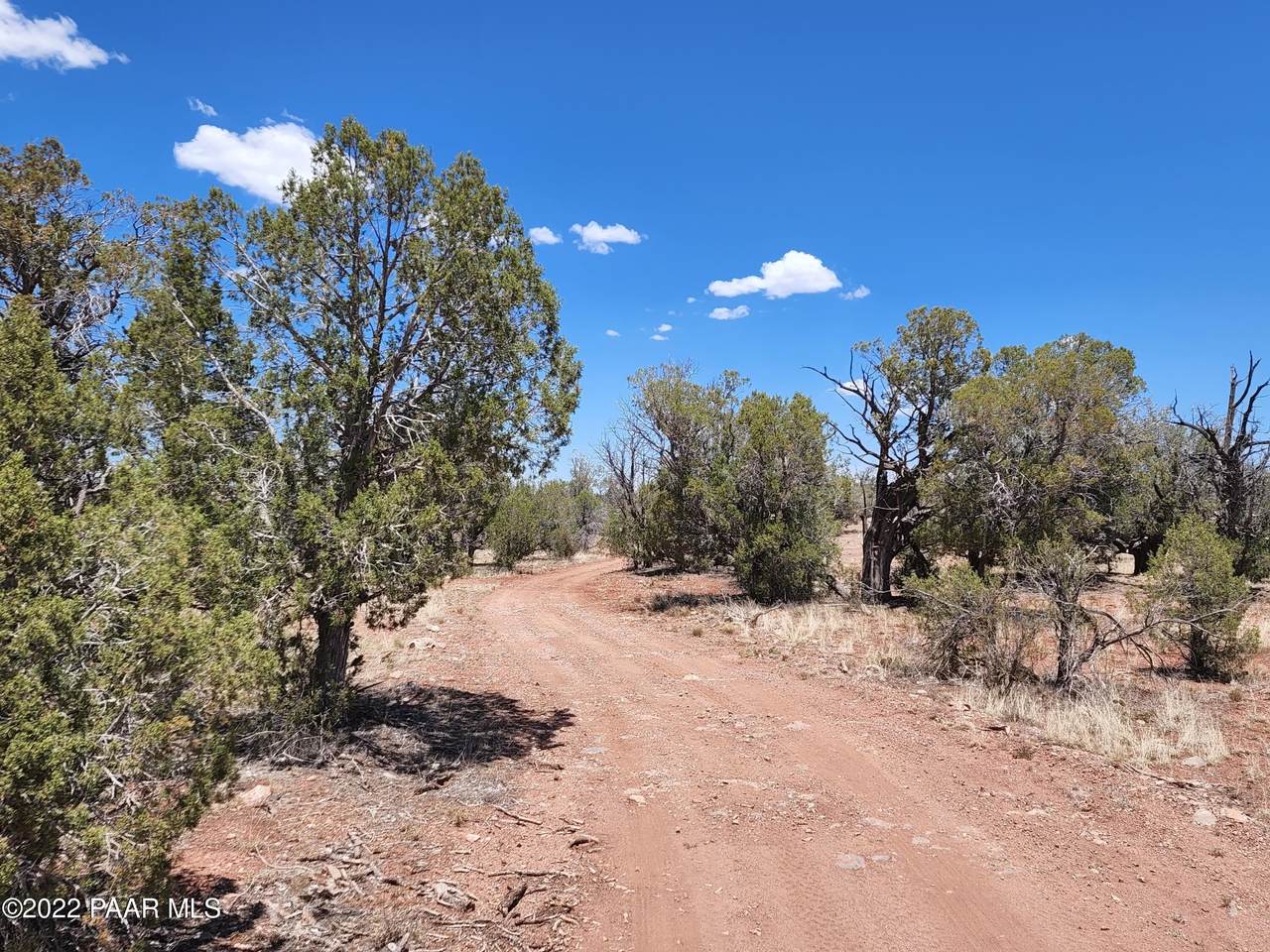 0 Cone Lot 155 - Photo 1