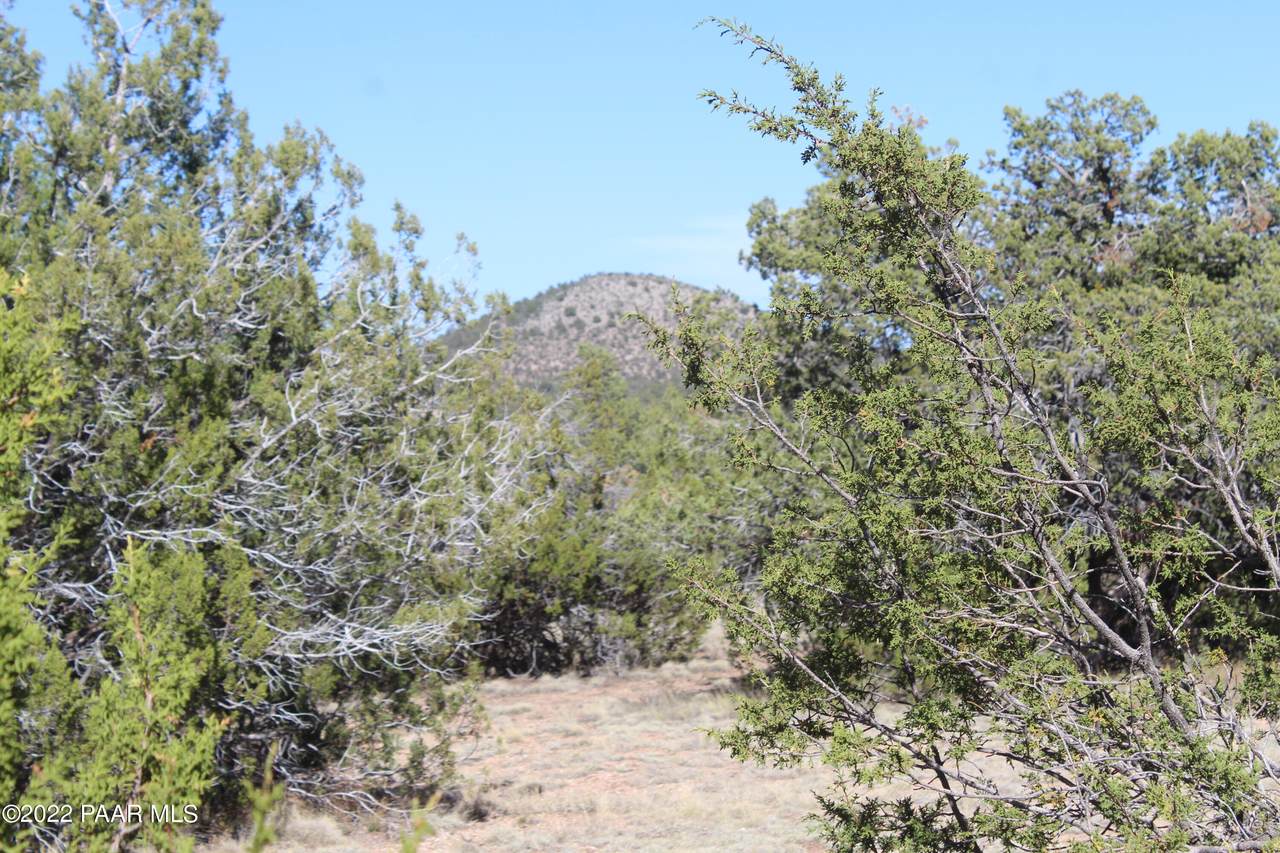 31576 Avenida Oveja - Photo 1