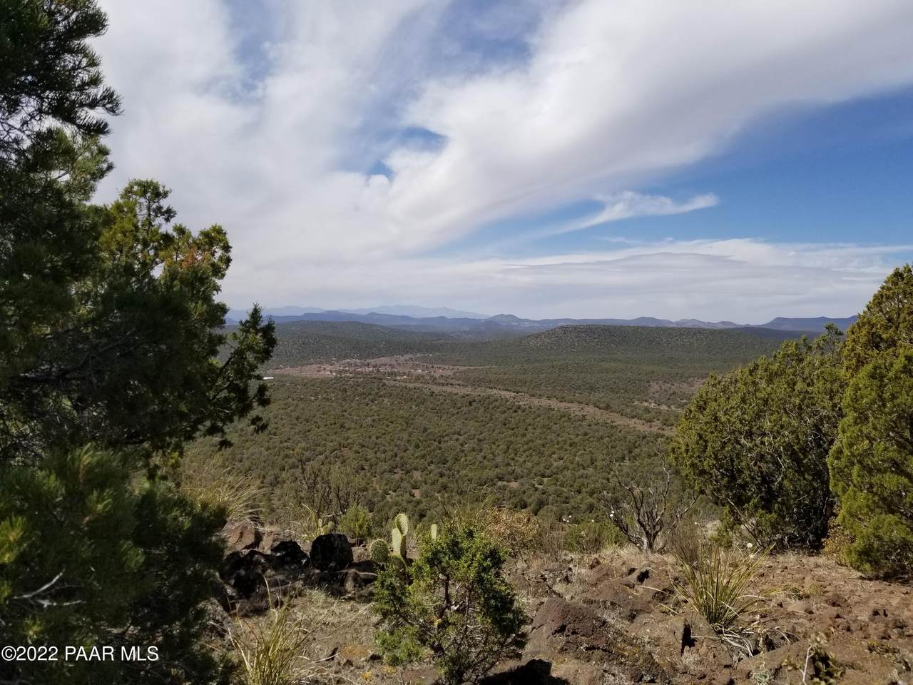 59201 Freedom Road - Photo 1