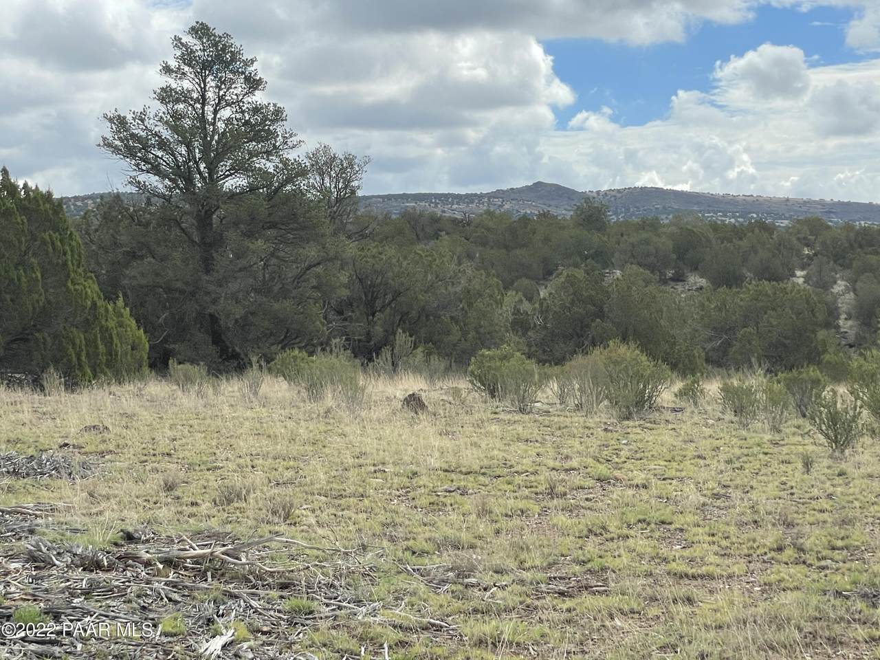 00 Ponderosa Springs Road - Photo 1