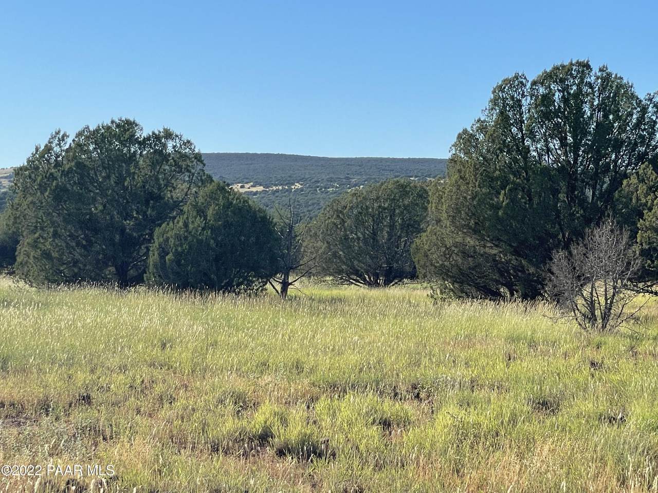 Lot 51c Juniperwood Ranch - Photo 1