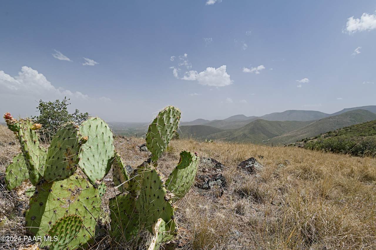 https://bt-photos.global.ssl.fastly.net/prescott/1280_boomver_1_1065556-2.jpg