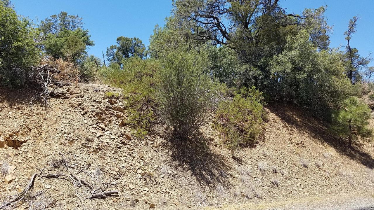 6155 Old Black Canyon Highway - Photo 1