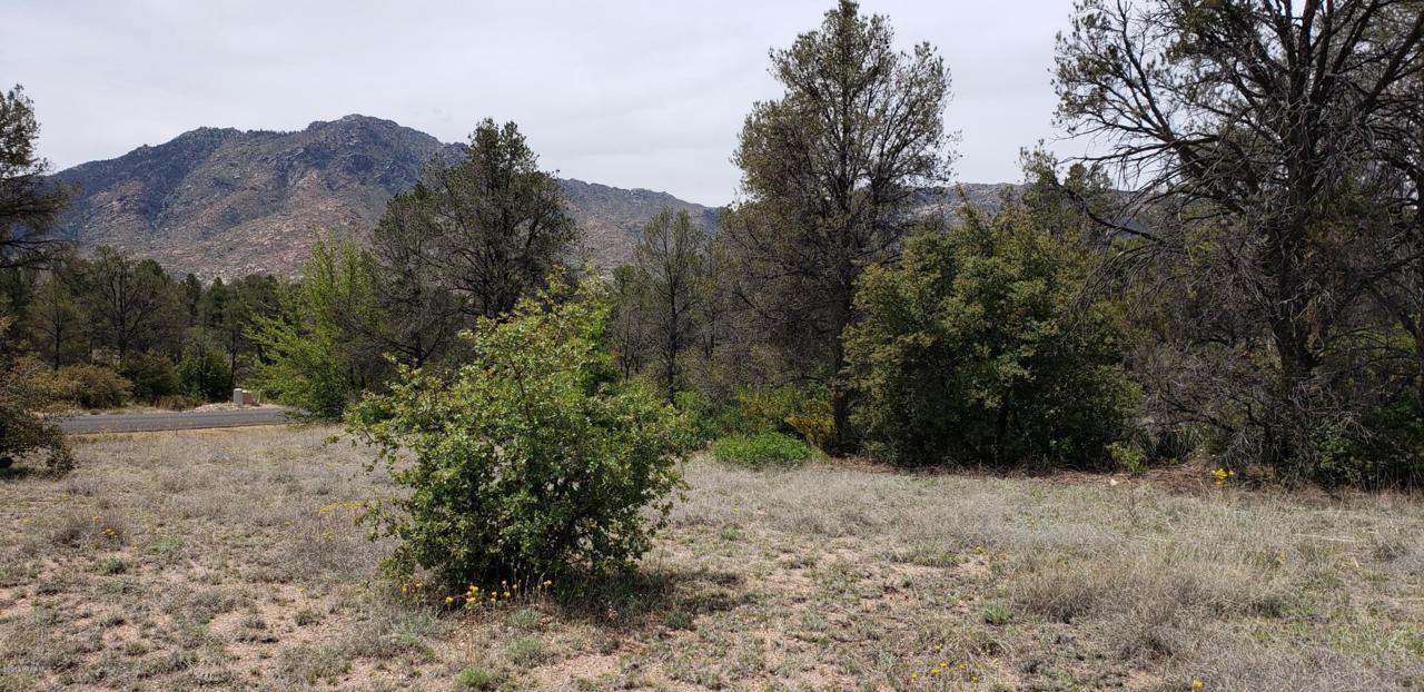 4520 Distant View Trail - Photo 1