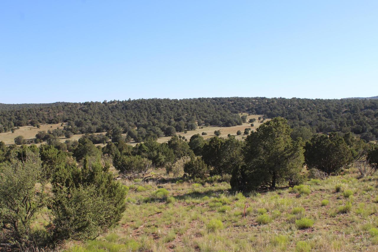 58618 Shadow Mountain Parkway - Photo 1