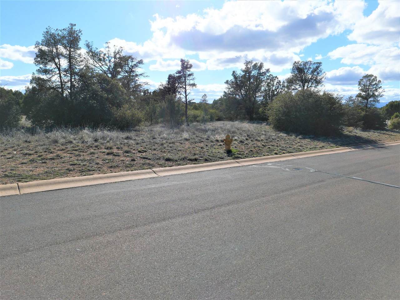 5455 Vengeance Trail - Photo 1