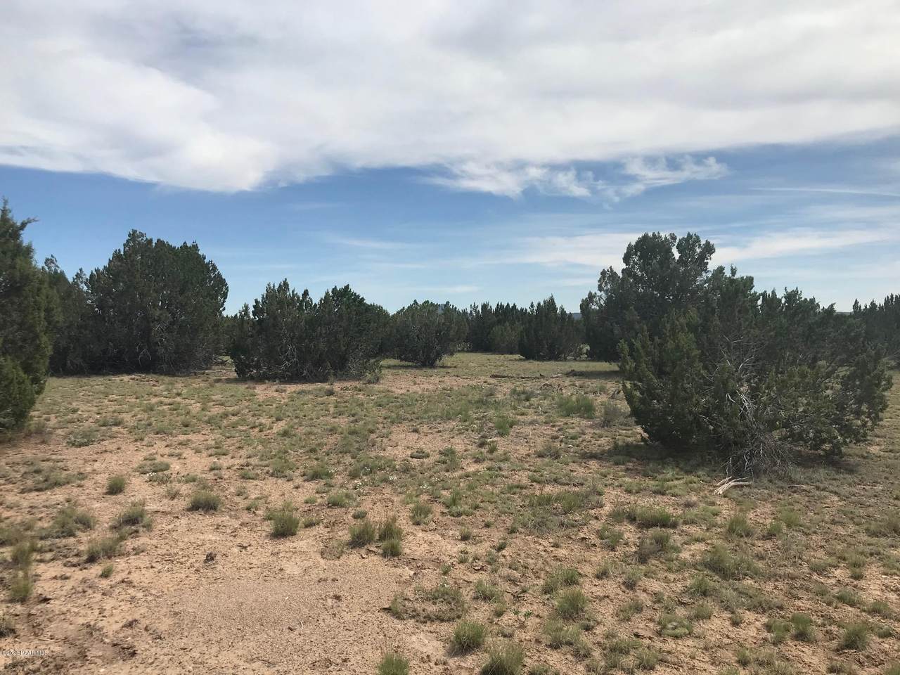 1320 Skedaddle Trail - Photo 1