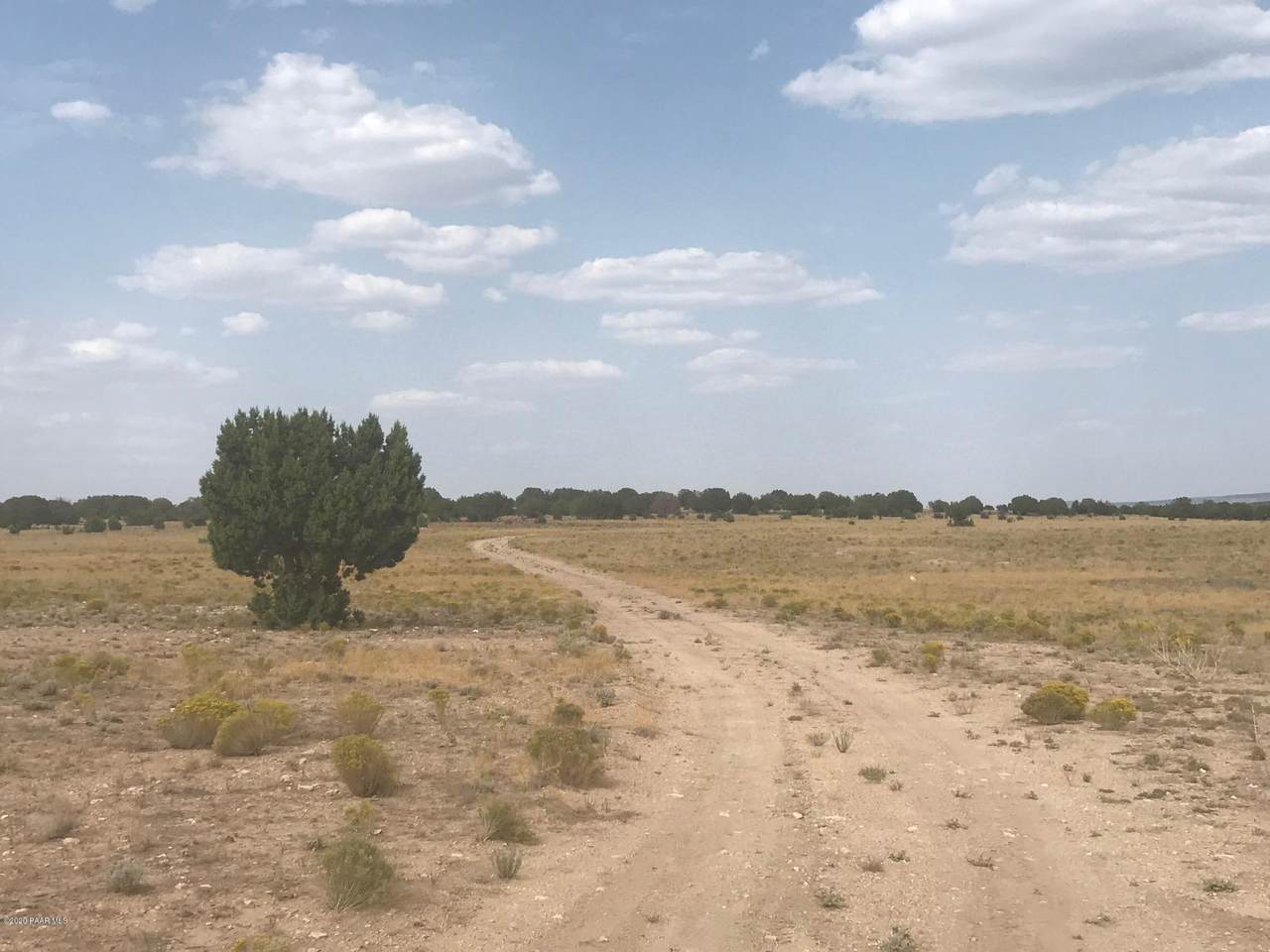 5200 Lakota Ranch Road - Photo 1