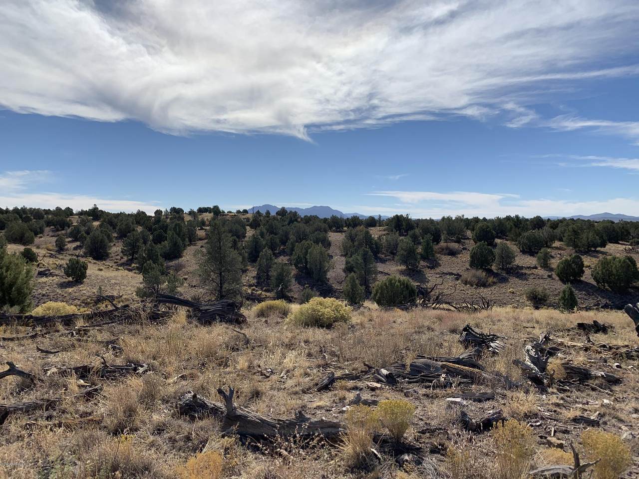 7601 Rambling Road - Photo 1