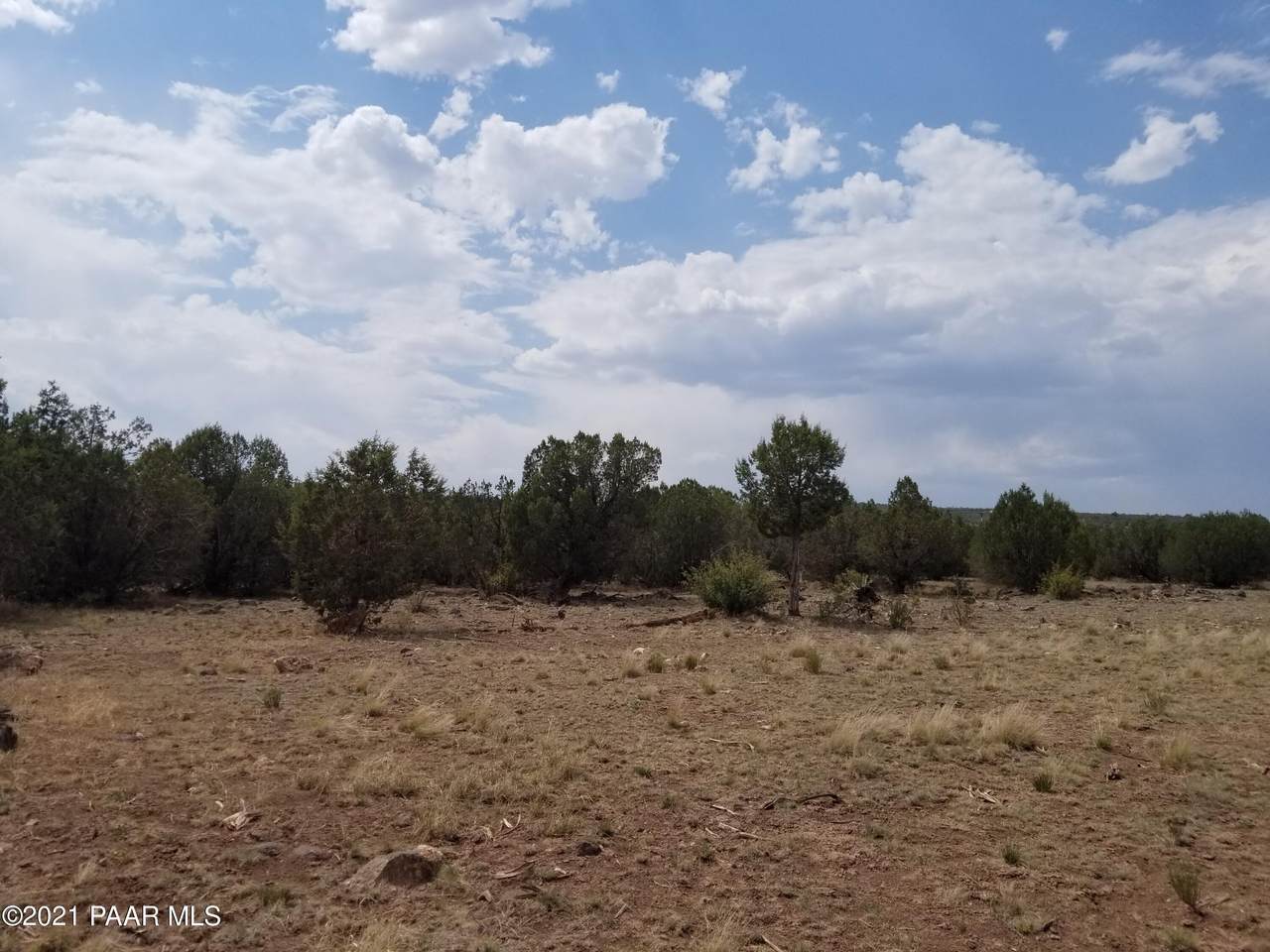 1121 Marcia Way - Photo 1