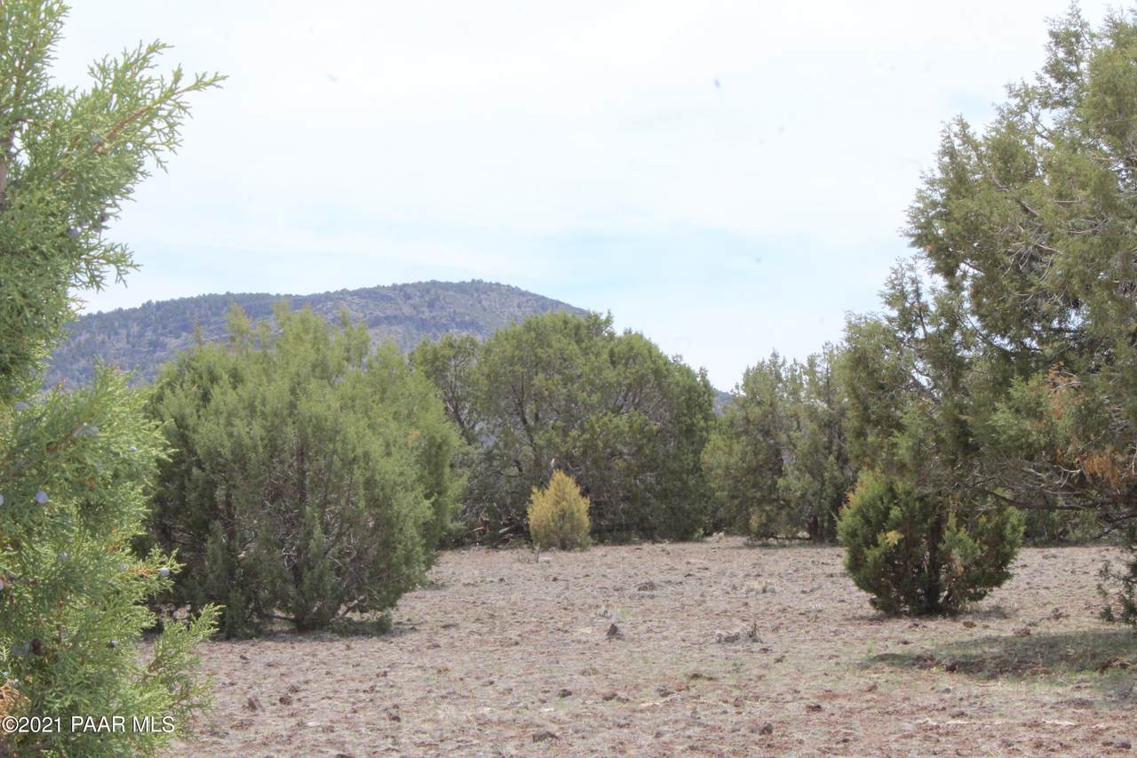 Lot 306 Olivas Alone - Photo 1