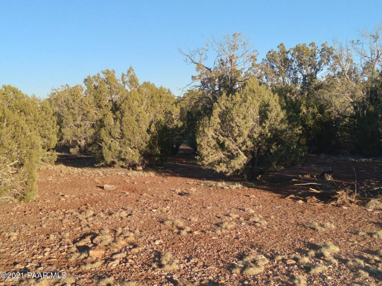 0 Gallina Road - Photo 1