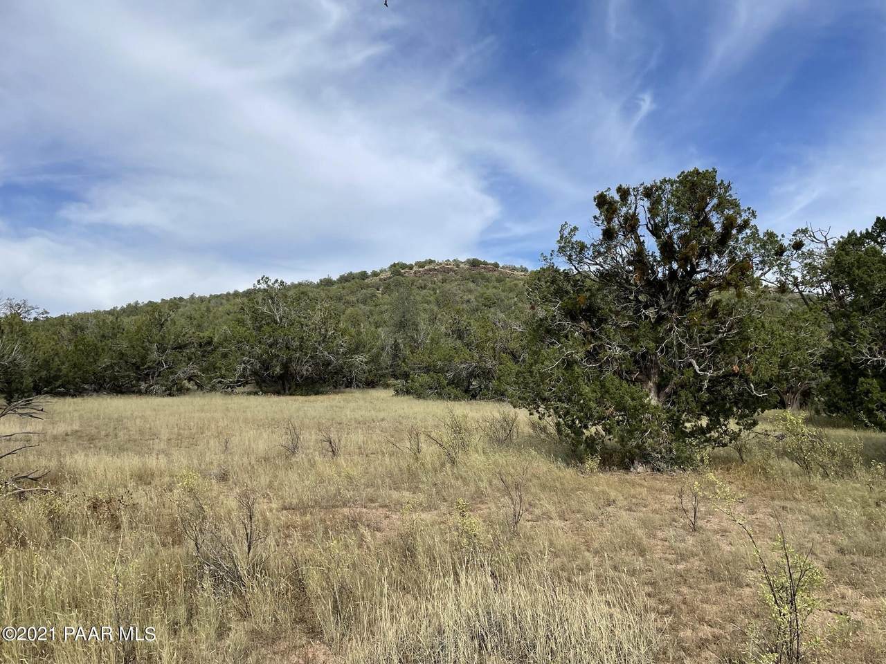 565 Sierra Verde Ranch - Photo 1