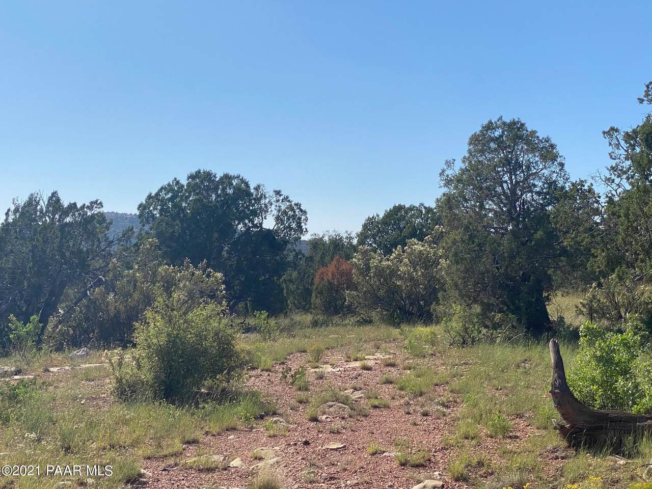 56460 Avenida Derecha - Photo 1