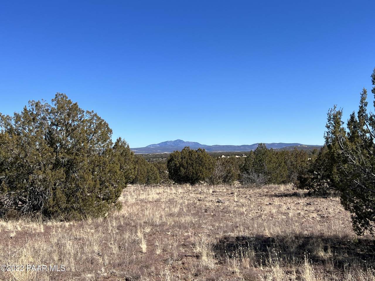 346 Tanner Road - Photo 1