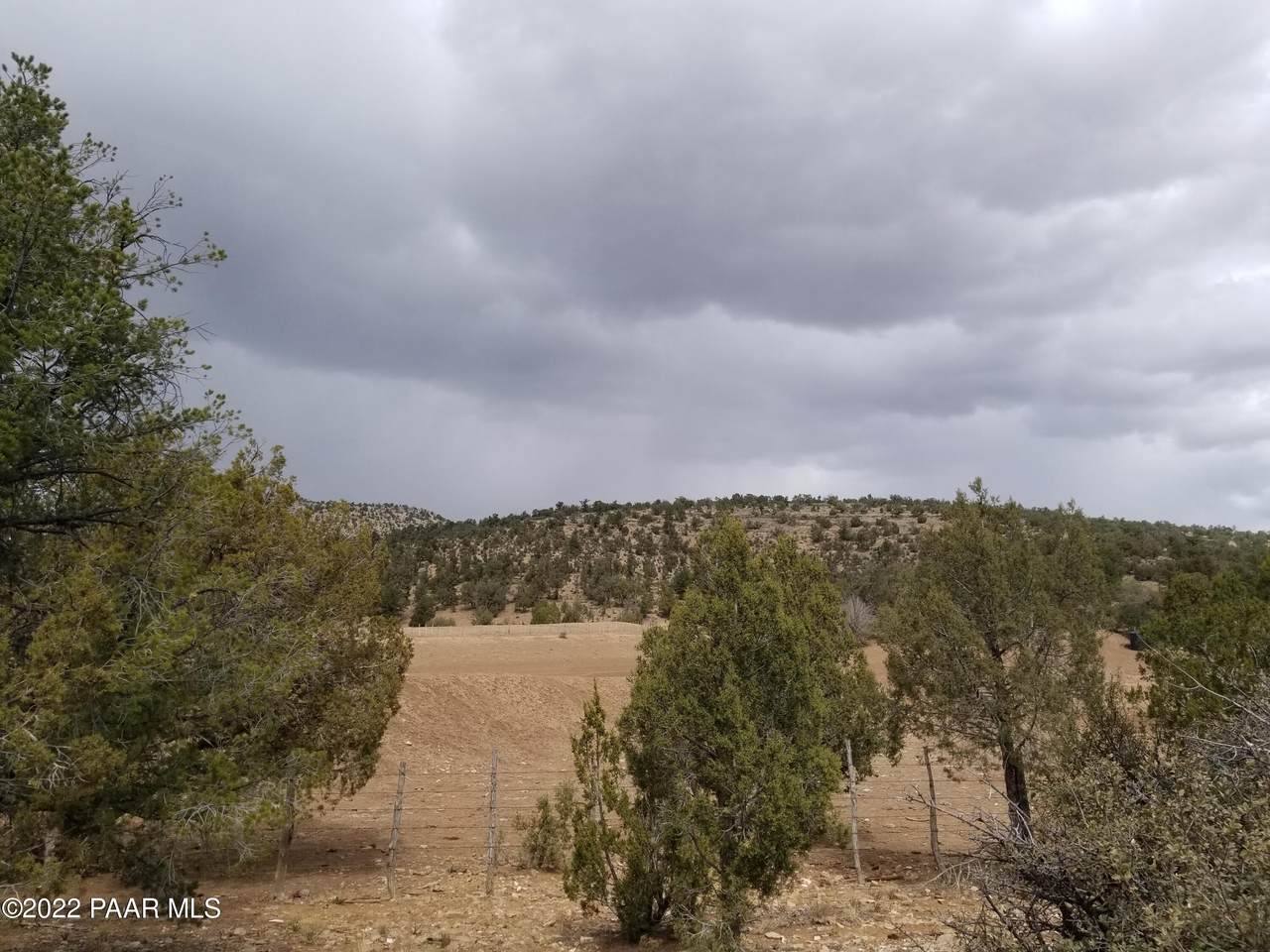 120 Juniper Wood - Photo 1