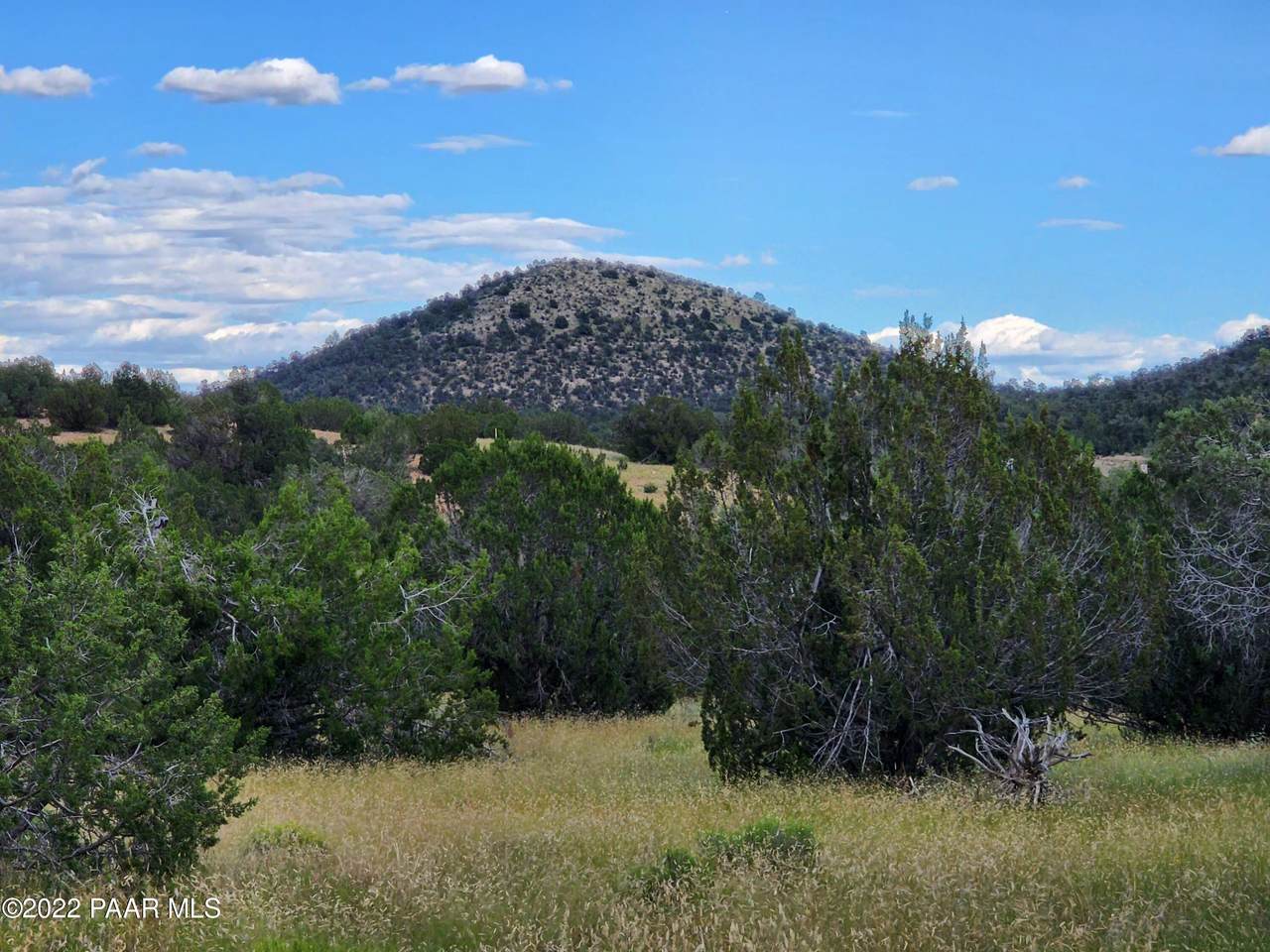 31301 Ave Oveja - Photo 1