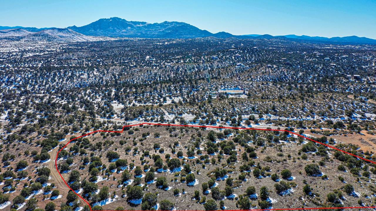 3920 Sarah Road - Photo 1