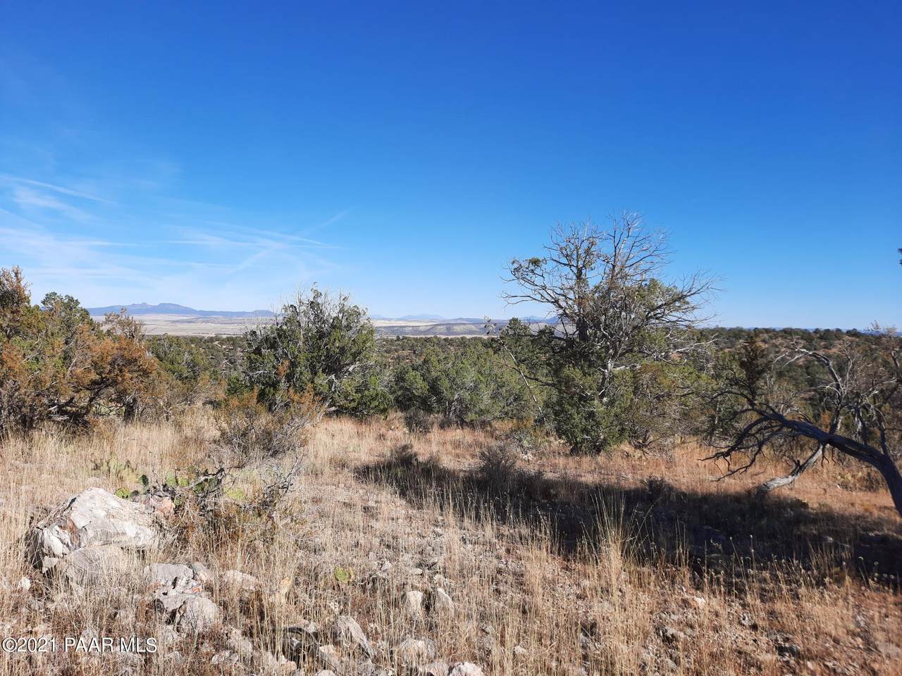 1416 B Bad Dog Rd - Photo 1