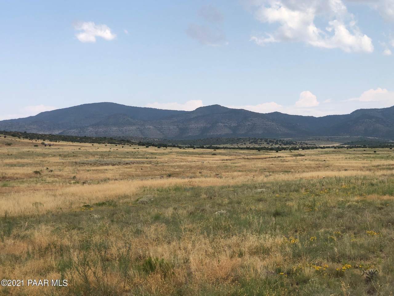 Lot D Coyote Run Road - Photo 1