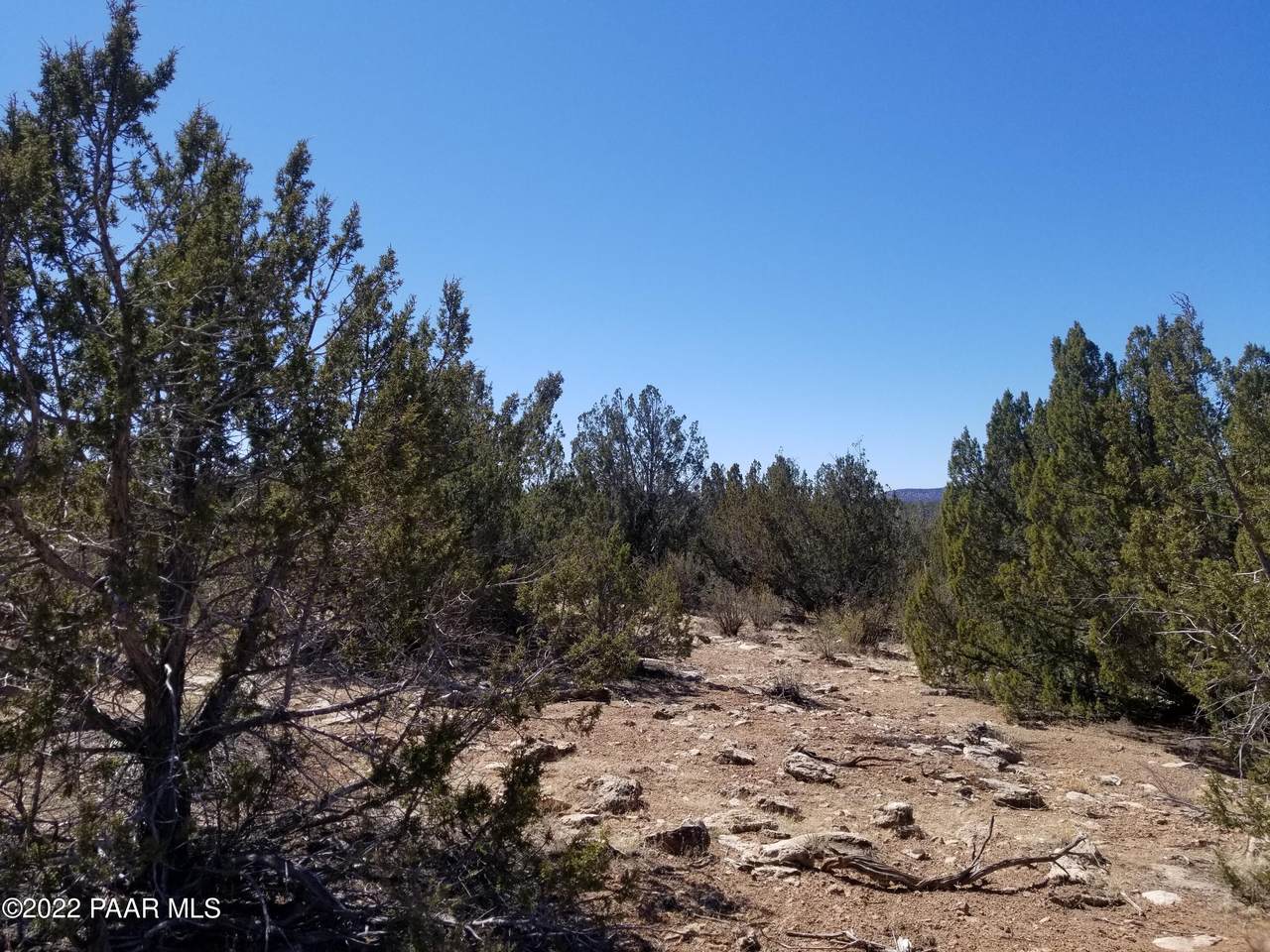 120 Juniper Wood - Photo 1