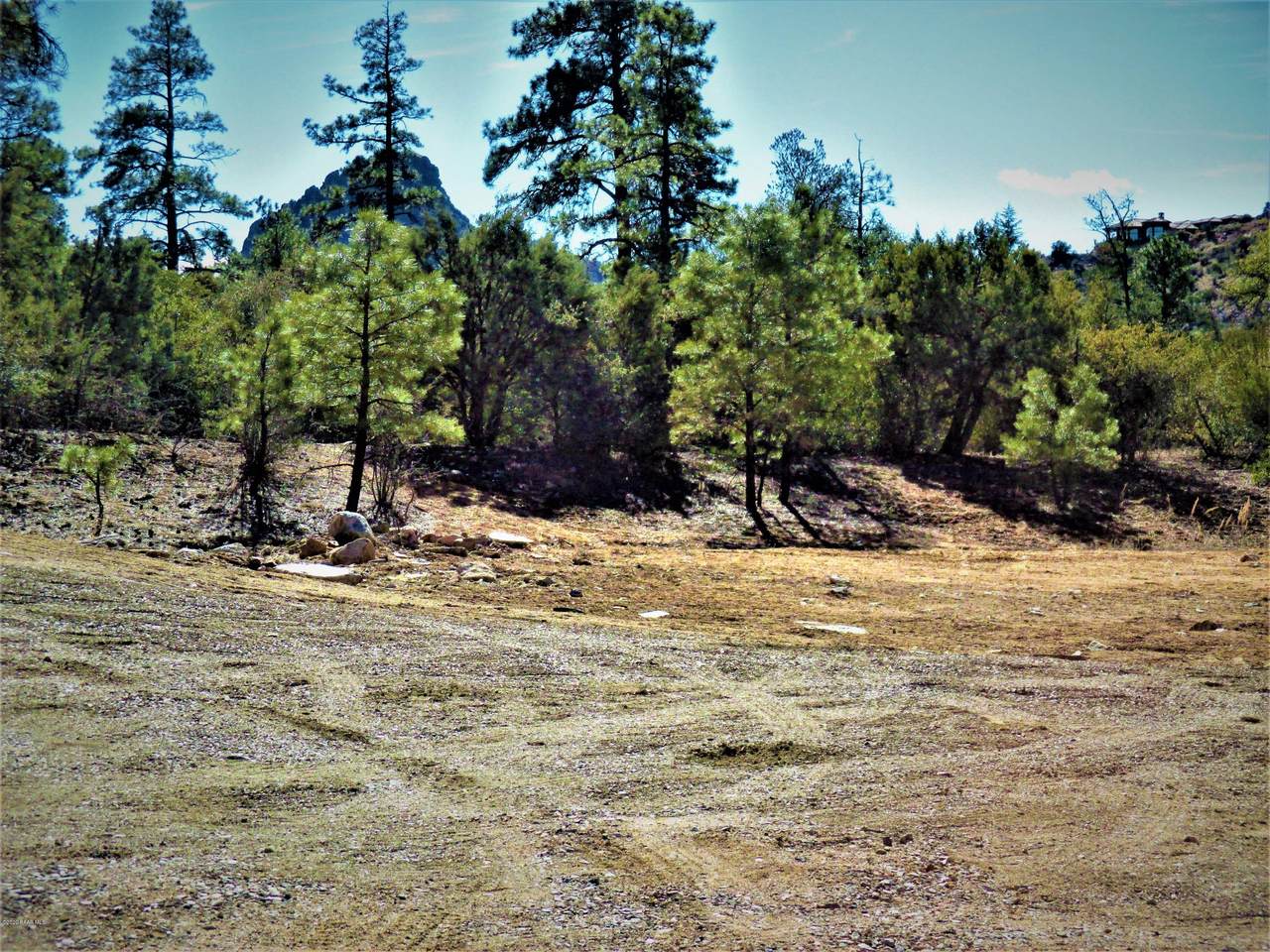 1542 Sierry Peaks Drive - Photo 1