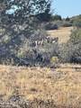 13225 Pheasant Run Road - Photo 6