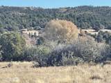 13225 Pheasant Run Road - Photo 8
