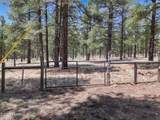 12778 Larkspur Lane - Photo 37
